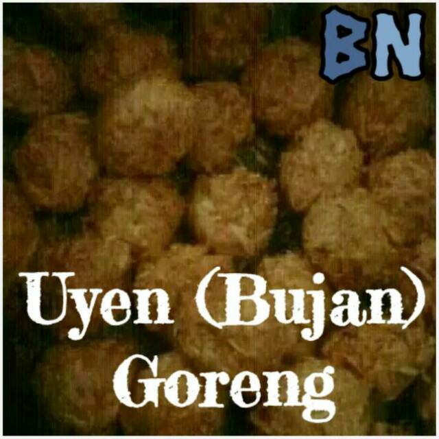 

UYEN (BUJAN) GORENG KUE MEDAN FAVORITE FOOD