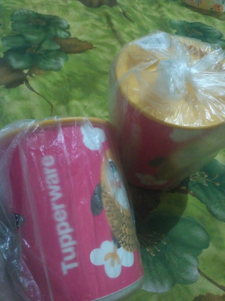 Owl / Birdie Canister Pink (1 Pcs) Toples Susu Tupwr