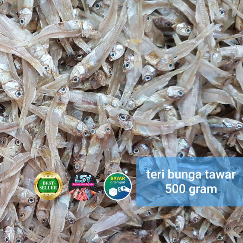 

ikan teri tawar bunga super 500gram