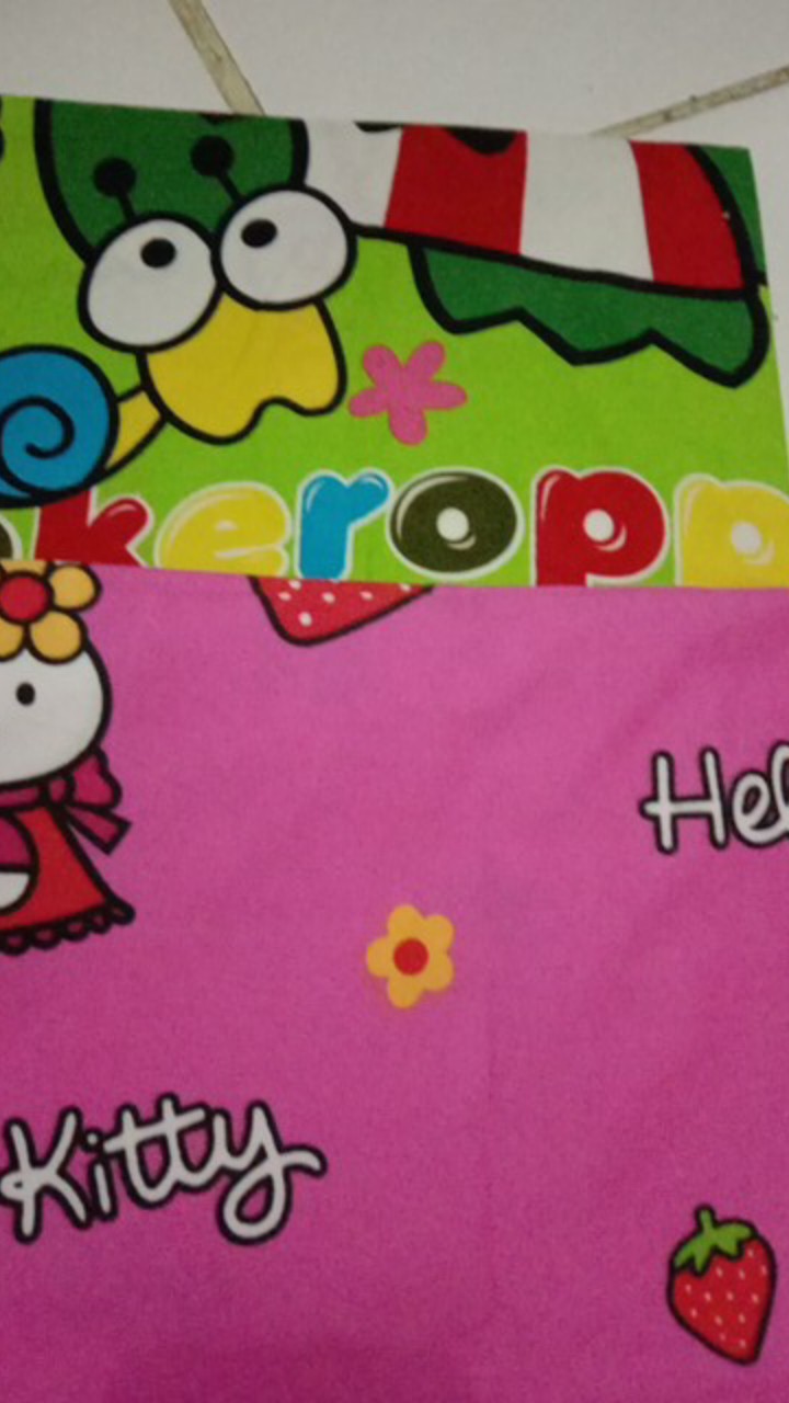 Sarung Bantal Karakter Lucu Banget
