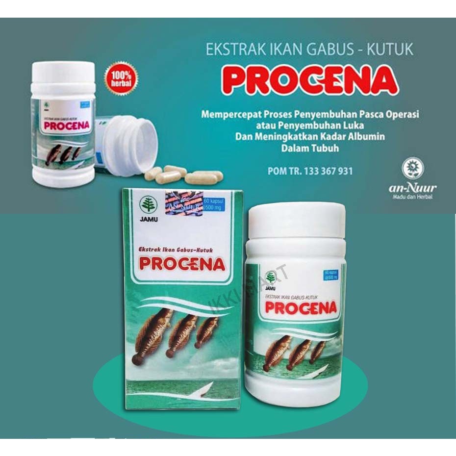PROCENA Kapsul Ekstrak Ikan Gabus