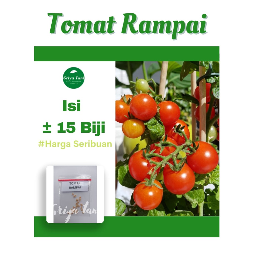 25 Benih Sayuran Buah Tomat Bibit Benih Sayur Tomat Rampai Biji Benih Tomat