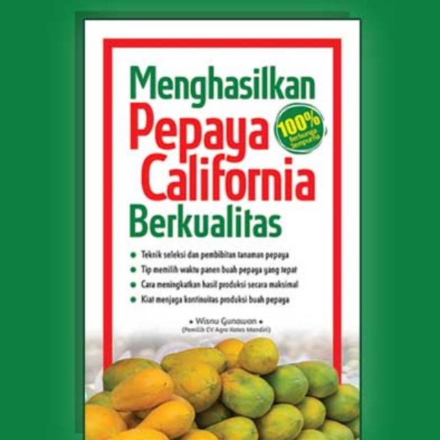 Menghasilkan Pepaya California Berkualitas