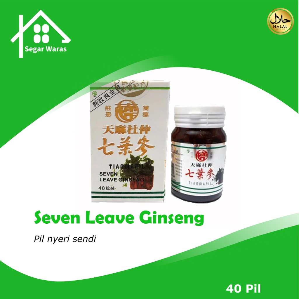 Seven Leave Ginseng (Tian Ma Tu Chung) 48 Pil - Obat Rematik, Nyeri Sendi &amp; Pegal linu, Asam Urat