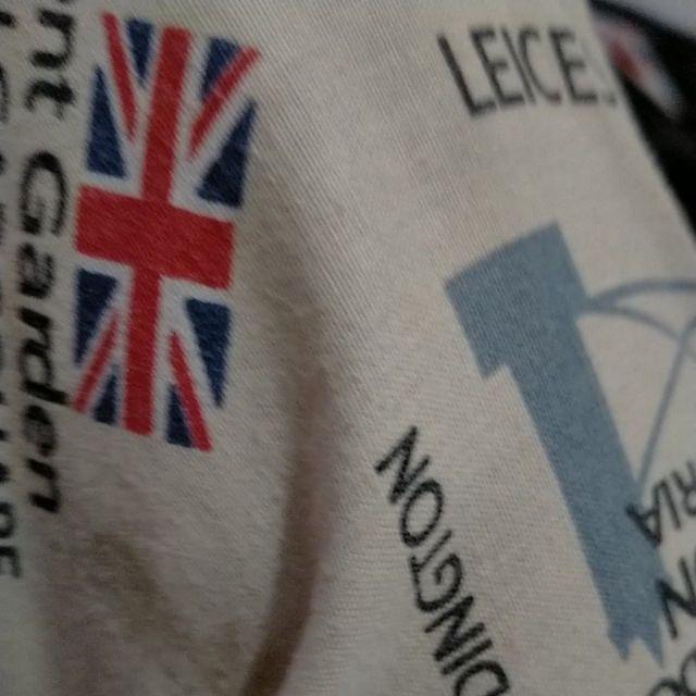 Tanaman Hias Brokoli Kuning/akasia Kuning