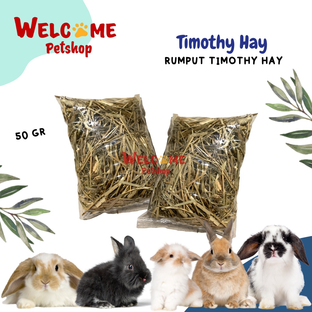 Timothy Hay 50g Kelinci Marmut Chinchilla Rumput Makanan Snack