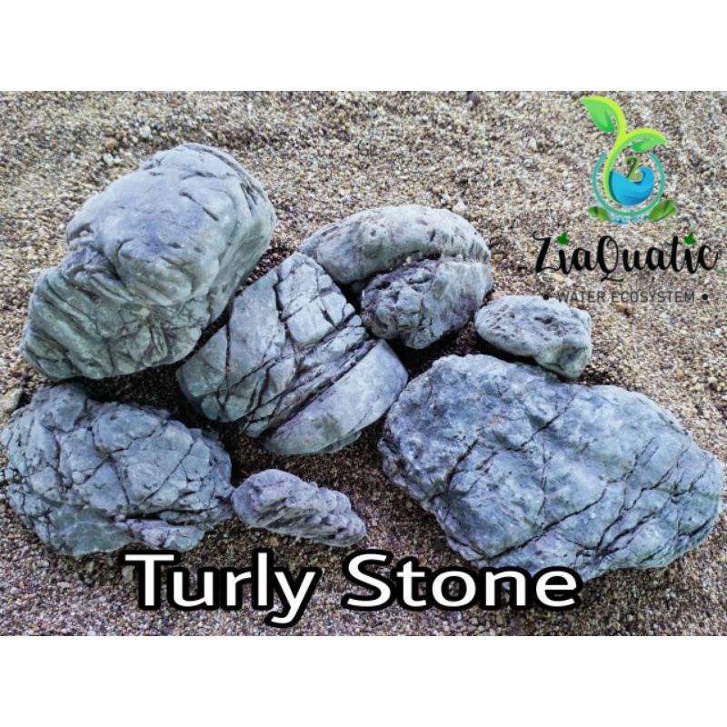 Batu Aquascape/Batu Turly/Hiasan Aquarium/Iwagumi/Natural Aquarium