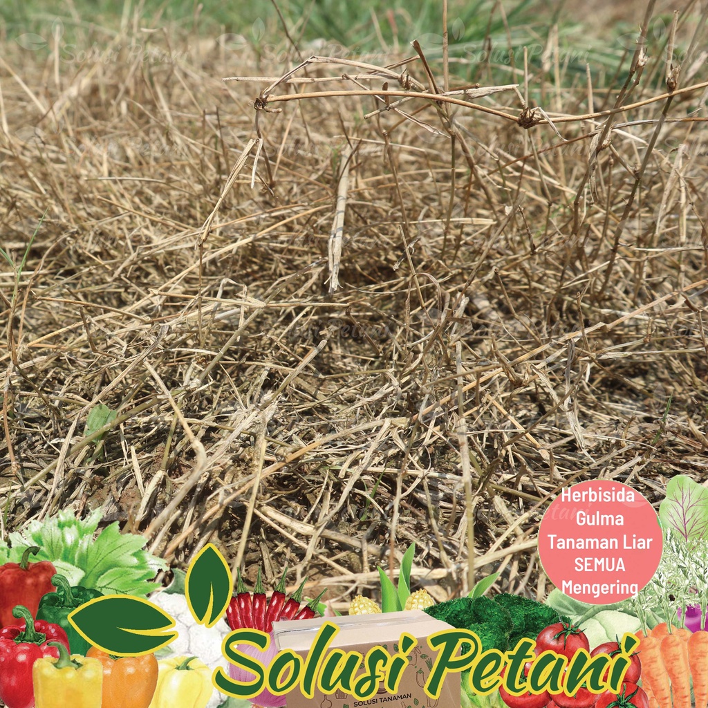 Obat Rumput Winsa 1Ltr Herbisida Pembasmi Aneka Macam Gulma Rumput Liar / Tanaman Liar, Obat Hama