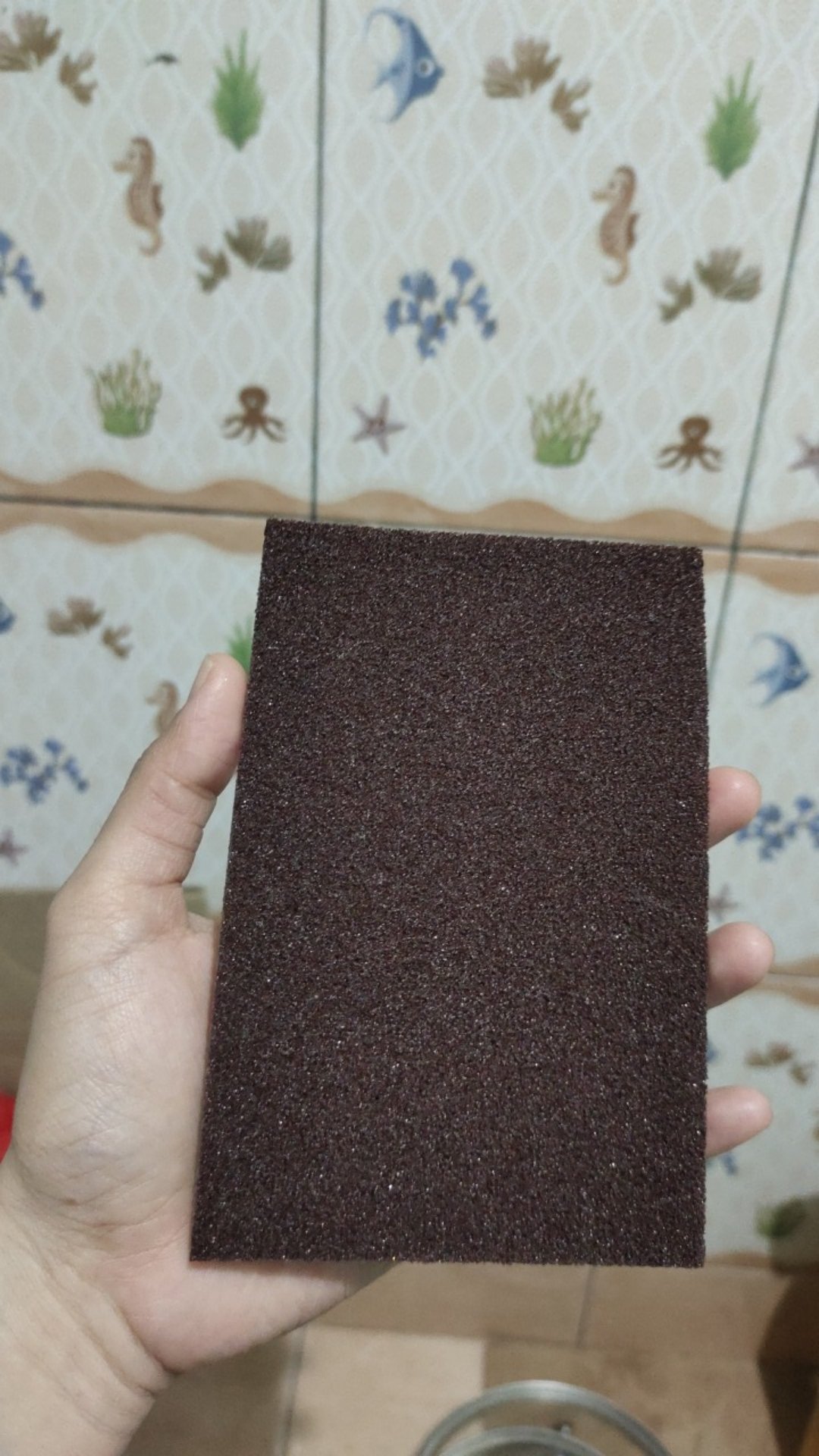 Spons Ajaib Pembersih Peralatan Dapur / Kamar Mandi