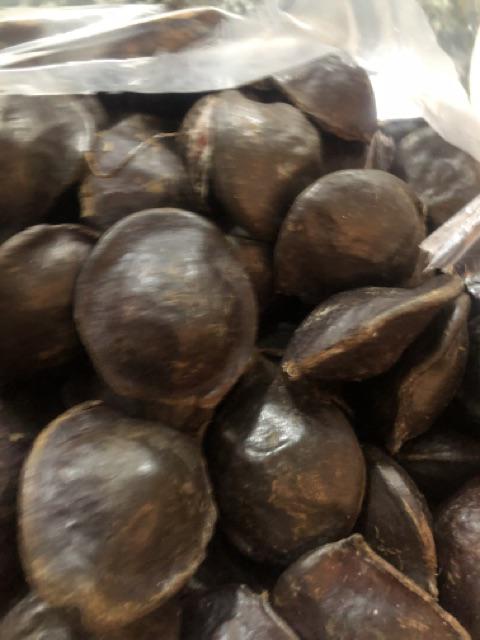 Jengkol Muda Fresh Segar Kiloan Pasar Murah Jakarta