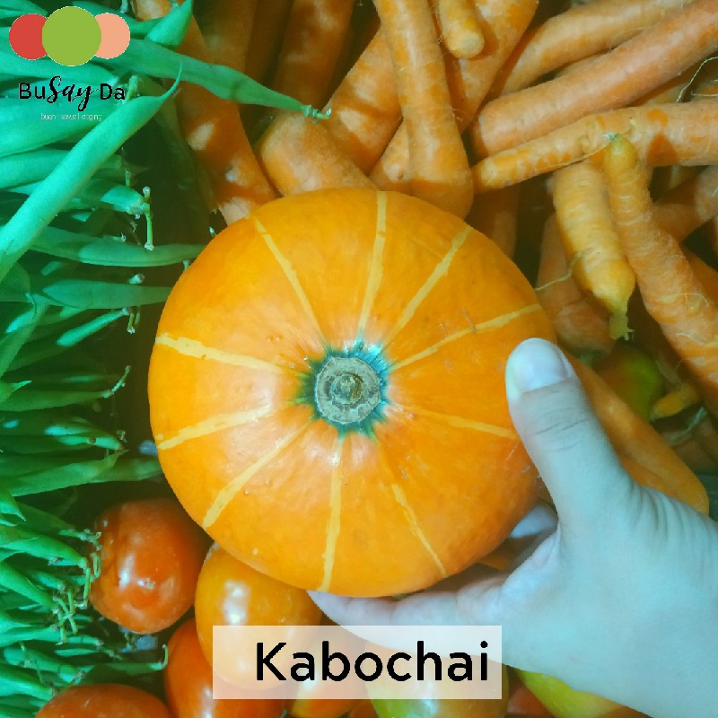 

Labu Kabochai Jepang orange kuning 1 buah +-500 gram | Busayda