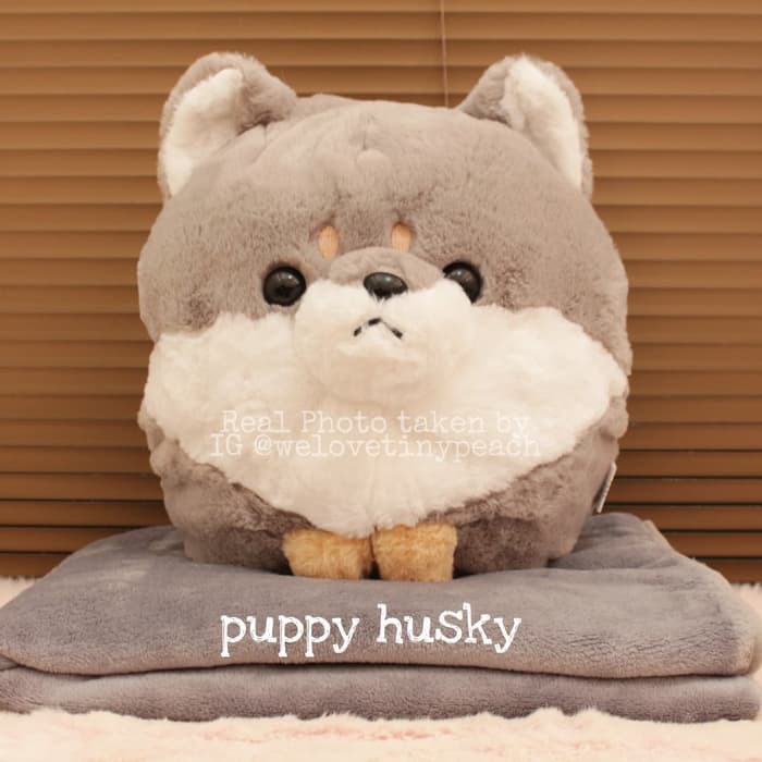 Balmut Puppy Corgi Husky Pug boneka selimut anak anjing import lucu SLT426