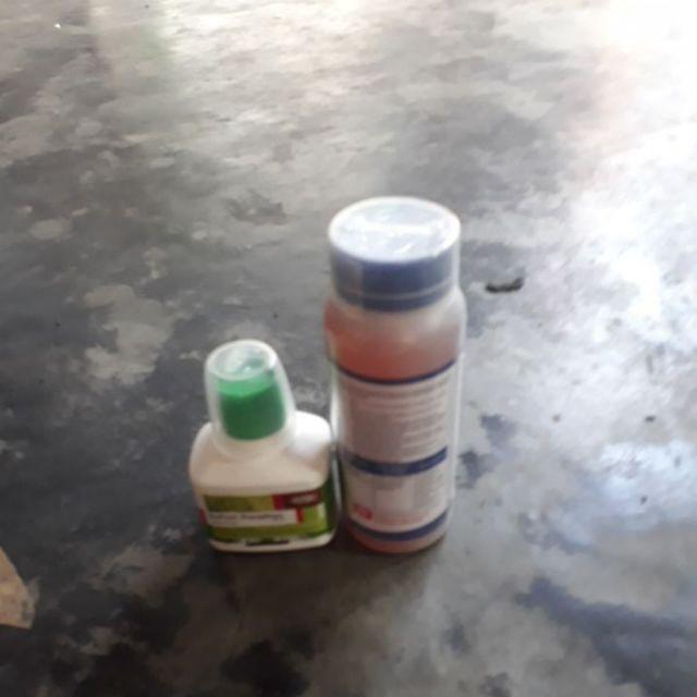 Sapporo 52ec 500ml Obat Hama Ulat Grayak Dan Thrips