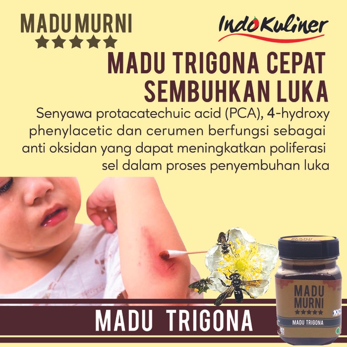 Madu Murni Trigona 275gr Extra Propolis Bee Polen By Indokuliner