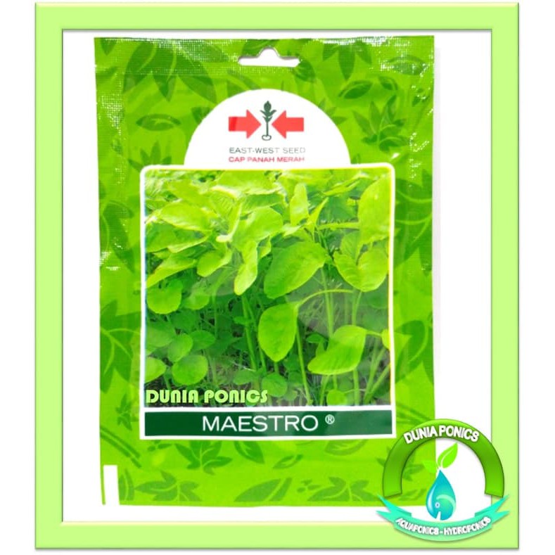 

Benih Bayam Hijau MAESTRO Panah Merah Kemasan Pouch Pack 26.000 Butir