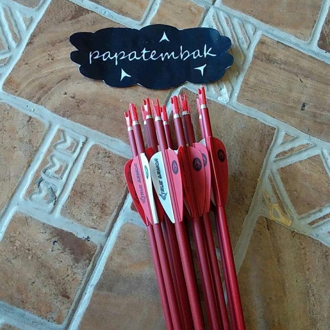 Arrow anak panah True Armor pure carbon spine 500