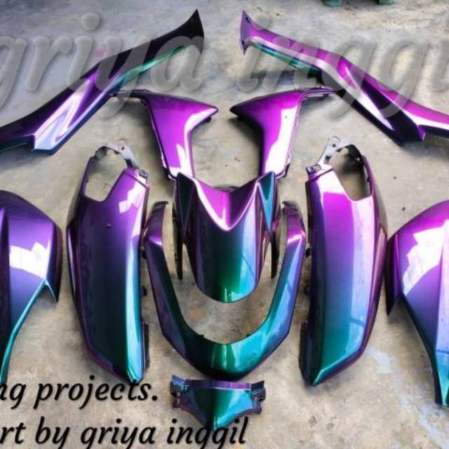 CAT BUNGLON CHAMELEON