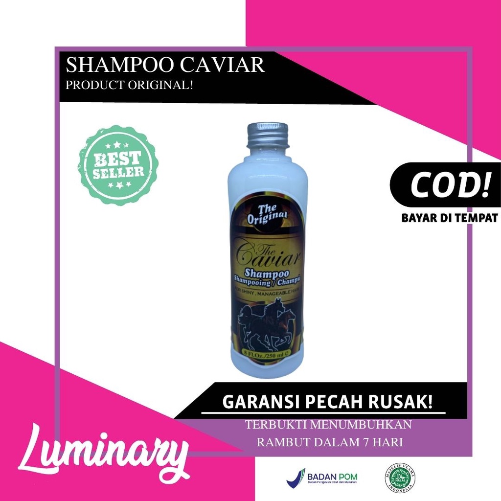 The Caviar Shampoo Kuda Pelurus Perawatan Rambut Shampo Penumbuh Rambut Sampo Original BPOM