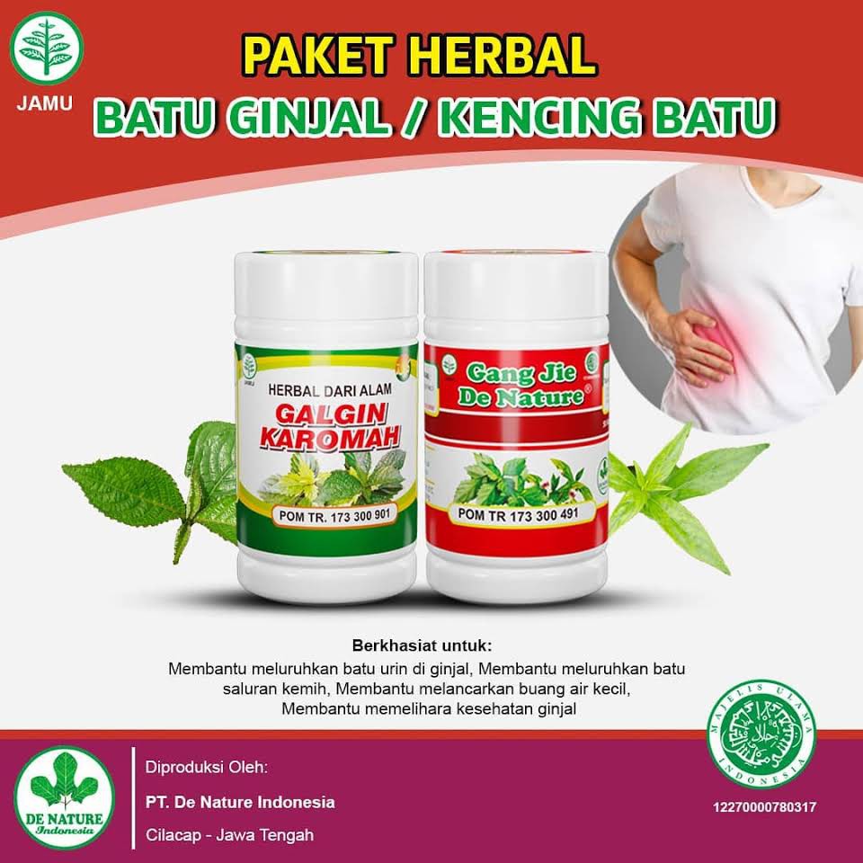 OBAT BATU GINJAL PALING AMPUH - OBAT BATU GINJAL CINA - OBAT BATU GINJAL ASLI DE NATURE