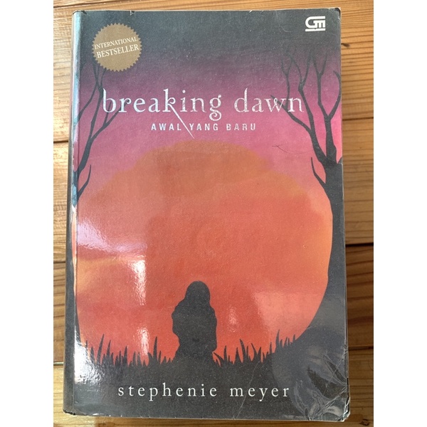 Novel Breaking Dawn