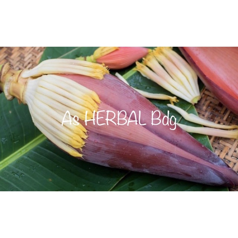 

Jantung pisang / jantung pohon pisang fresh-az