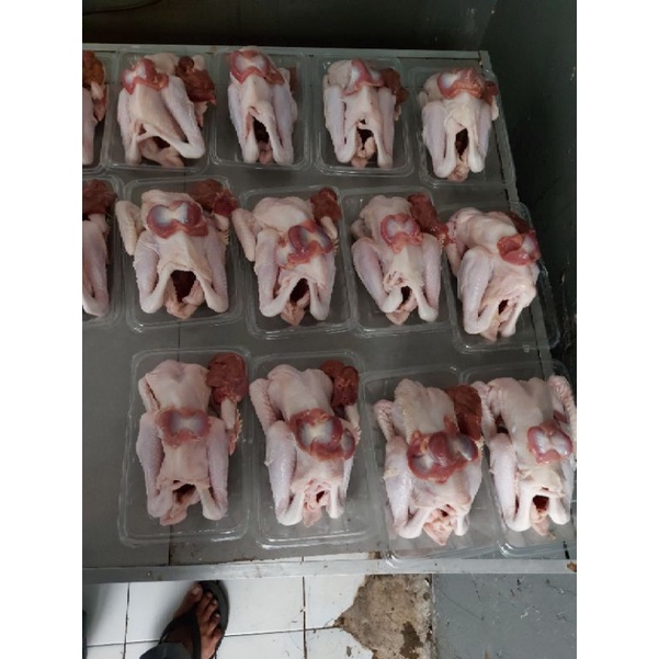 

Ayam pejantan segar