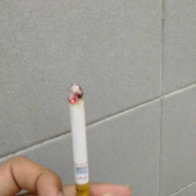 Box Brankas Uang Multifungsi Sebagai Celengan Dan Menyimpan Barang Perhiasan Dilengkapi Password