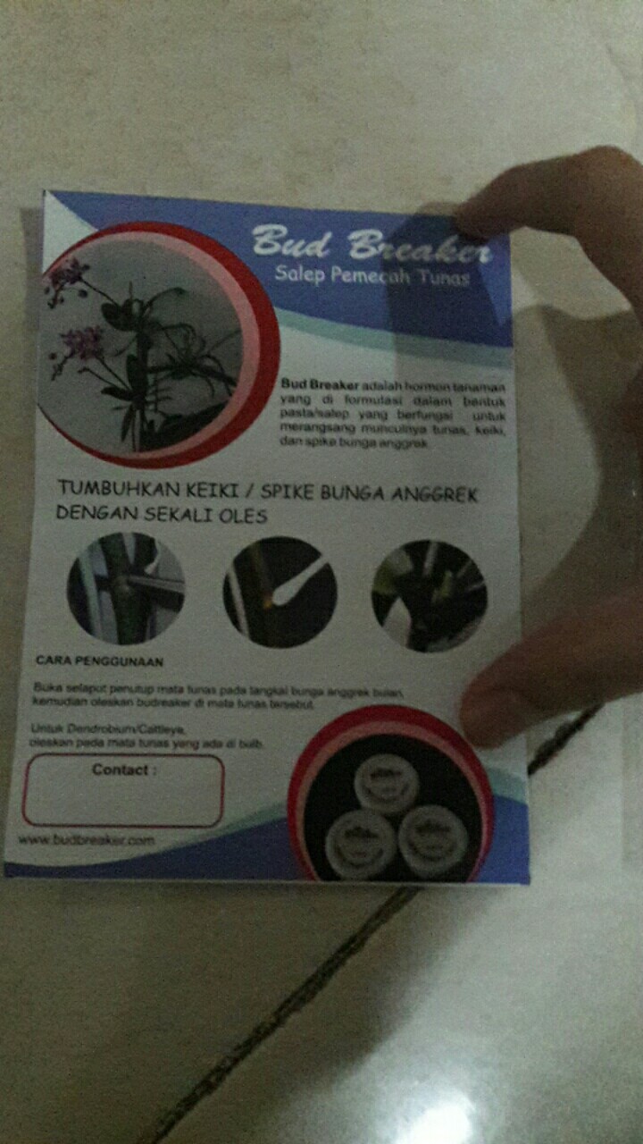 Vitamin B1 Taiwan Liquinox Untuk Semua Jenis Tanaman