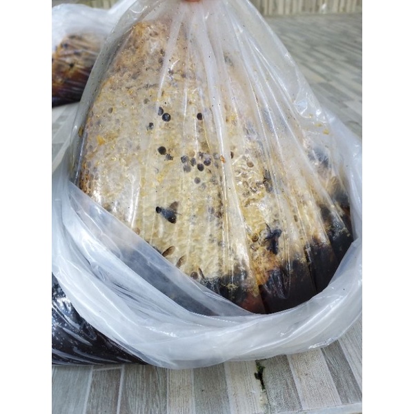 

Madu Sarang Hutan Sialang 5kg