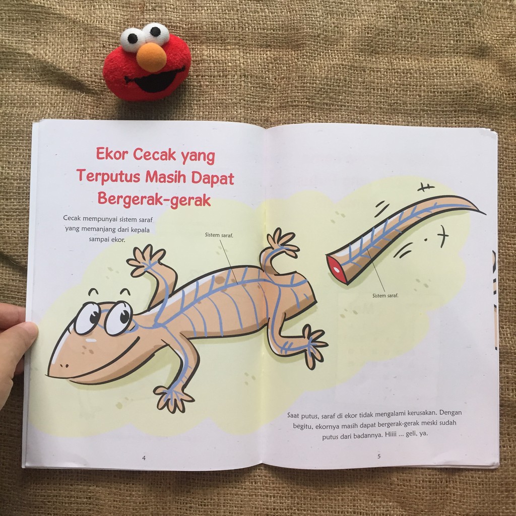 Mengapa Ekor Cicak Yang Putus Masih Dapat Bergerak Buku Cerita Anak Shopee Indonesia
