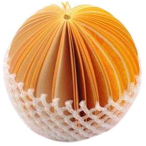 

Notes Model Buah Jeruk Orange Note Unik Lucu Buku Catatan Kertas 630