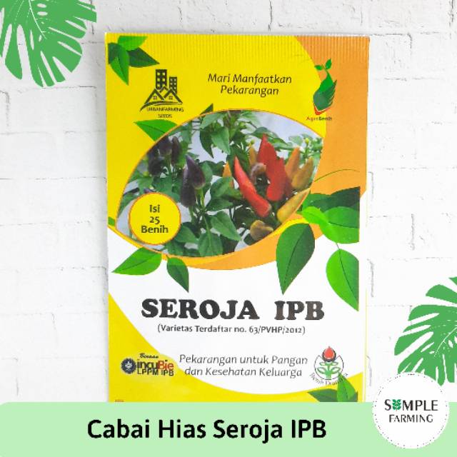 Benih CABAI Hias Seroja IPB