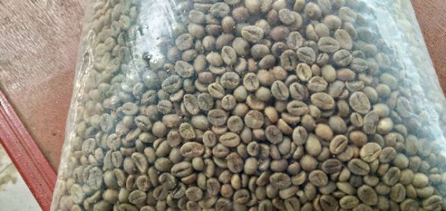 

Green Bean Robusta Subarda Minang Solok