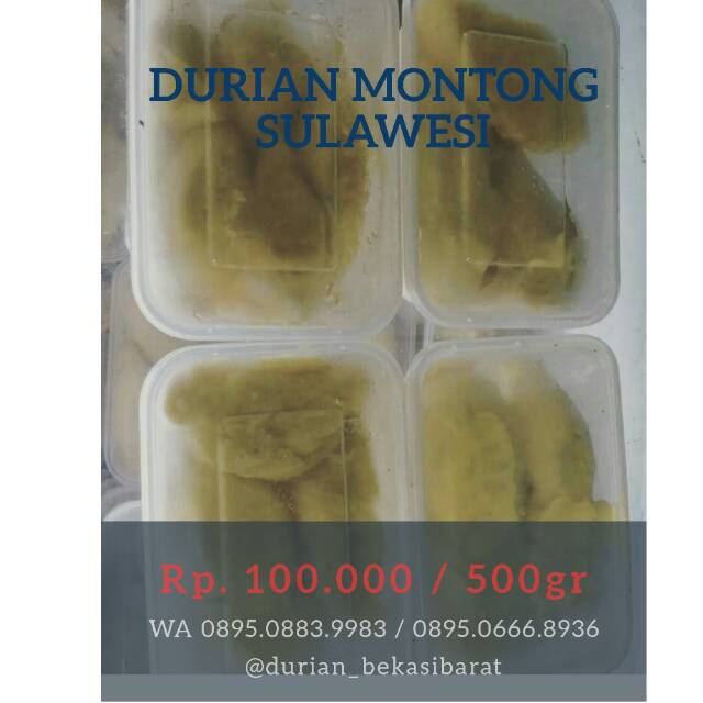 Durian montong - durian Montong Sulawesi