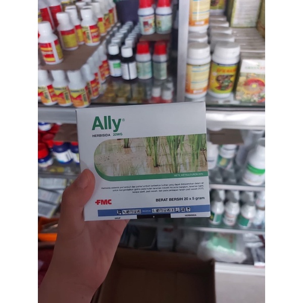 Ally 20 WG Herbisida selektif