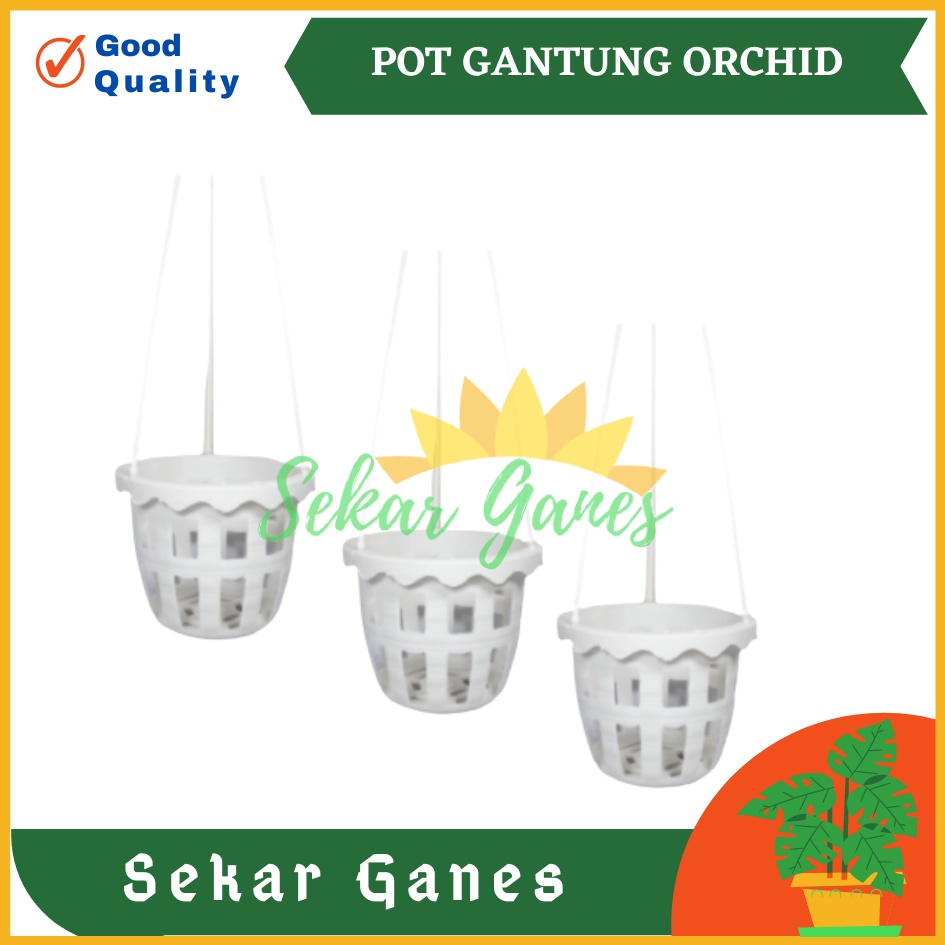 Pot Gantung Anggrek Orchid 10 cm Putih Pot Anggrek Murah Bkn Pot Anggrek Gantung NKT Putih 14