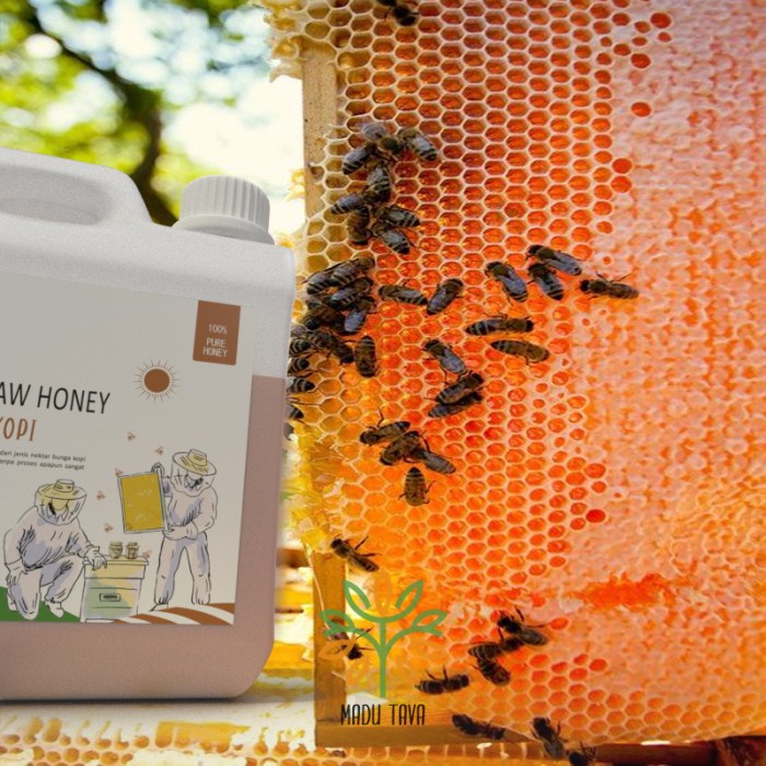 

d201nhd Madu Murni Tava Nektar Kopi 1Kg 100% Pure Raw Honey Asli Alami Ds201Fs