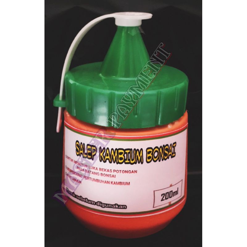 SALEP KAMBIUM