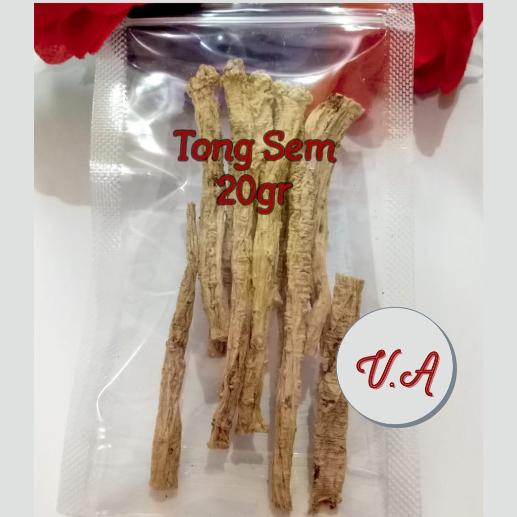 

Tong Sem 20gr TGS01 / Dang Shem / Buntong / Codonopsis Root / Tongsem