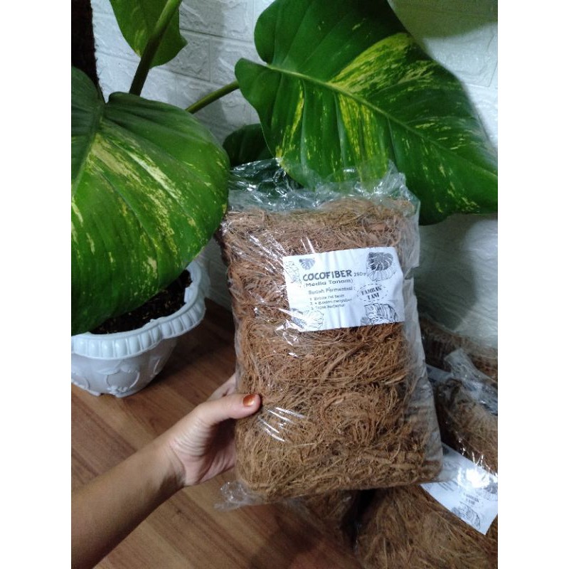 

Cocofiber Tambak Tani 250gr - Media Tanam - Sudah Fermentasi Siap Pakai (Baca Deskripsi)