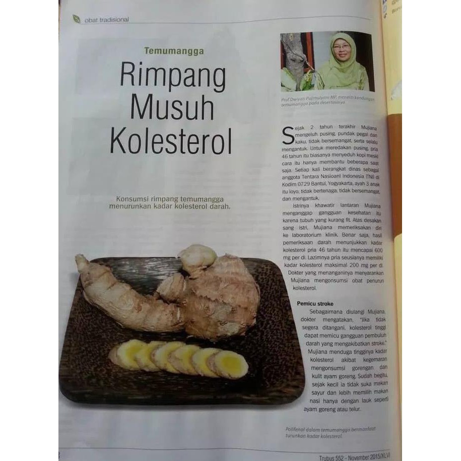 

Herbal877D8Rs-1 Kunir Putih/Kunyit Putih Capsule 60'S Windra Mekar