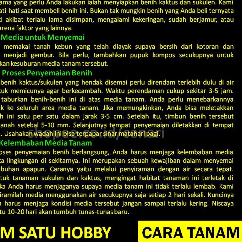 Diskon Khusus Benih kaktus batu lithops stone 10 biji /pack bunga indoor langka jenis succulent/seku