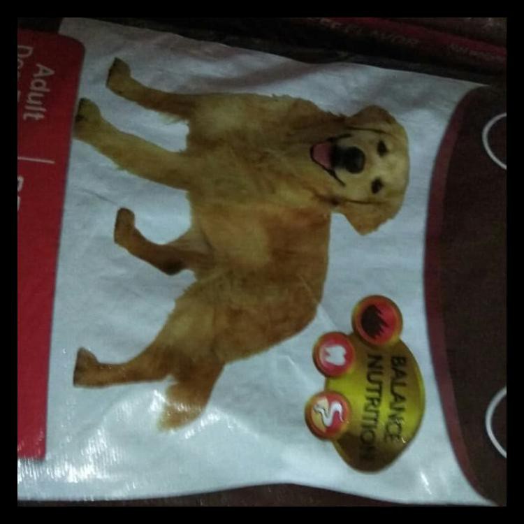 SPECIAL Dogfood Omegga 20kg