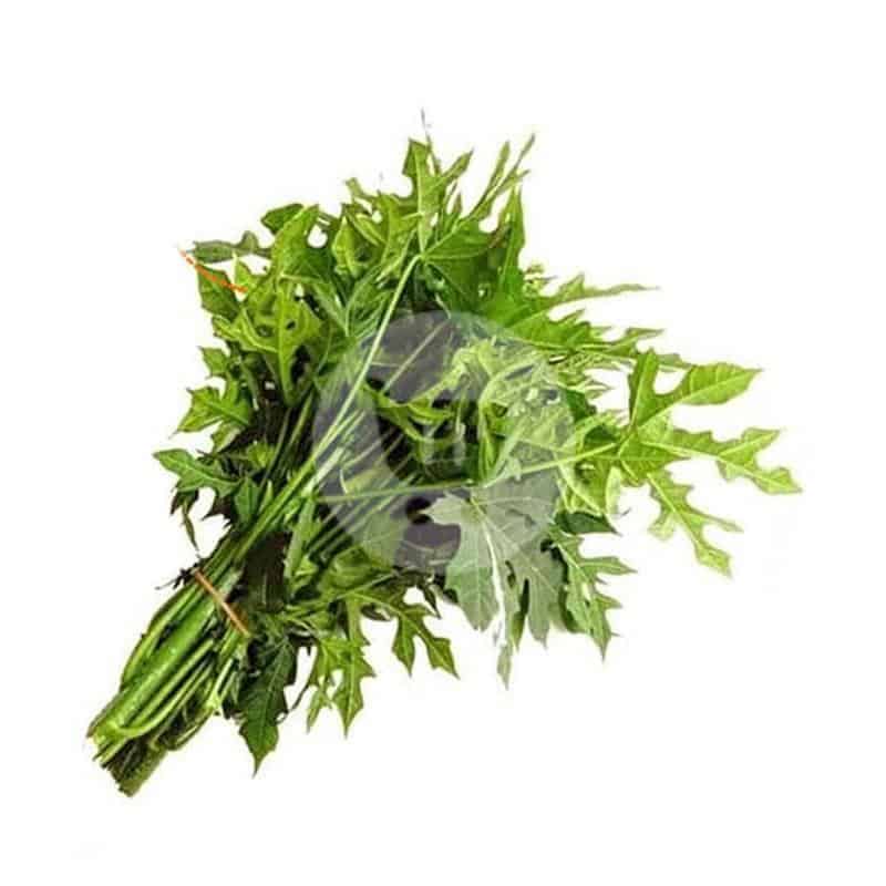 

Daun Pepaya 1 Ikat