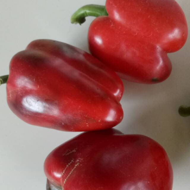

Paprika merah