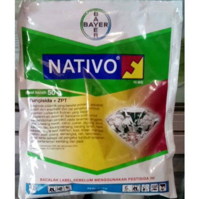 Nativo 75wg 12,5gram dan 50 gram