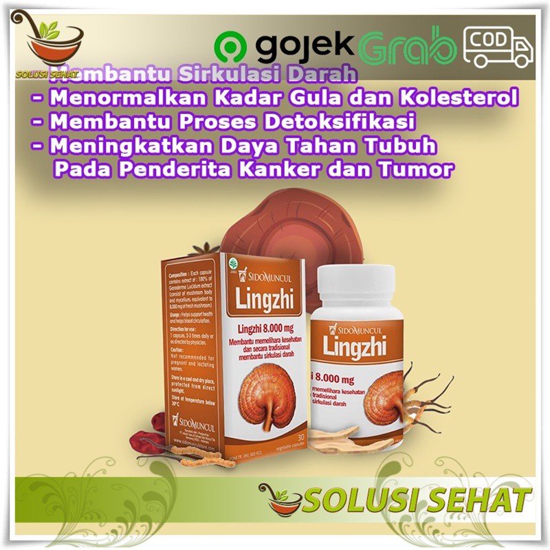 Obat Kolesterol Dan Detoksisifkasi Jamur Lingzhi Sidomuncul Suplemen Penderita Tumor Kanker