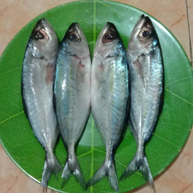 

Ikan kembung banjar
