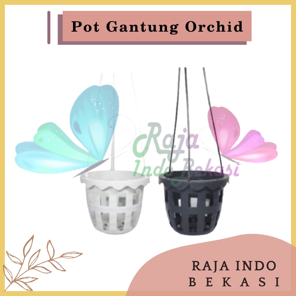 Pot Gantung Anggrek Orchid 10cm Putih Hitam Pot Anggrek Murah Bkn Pot Anggrek Gantung NKT Putih 14