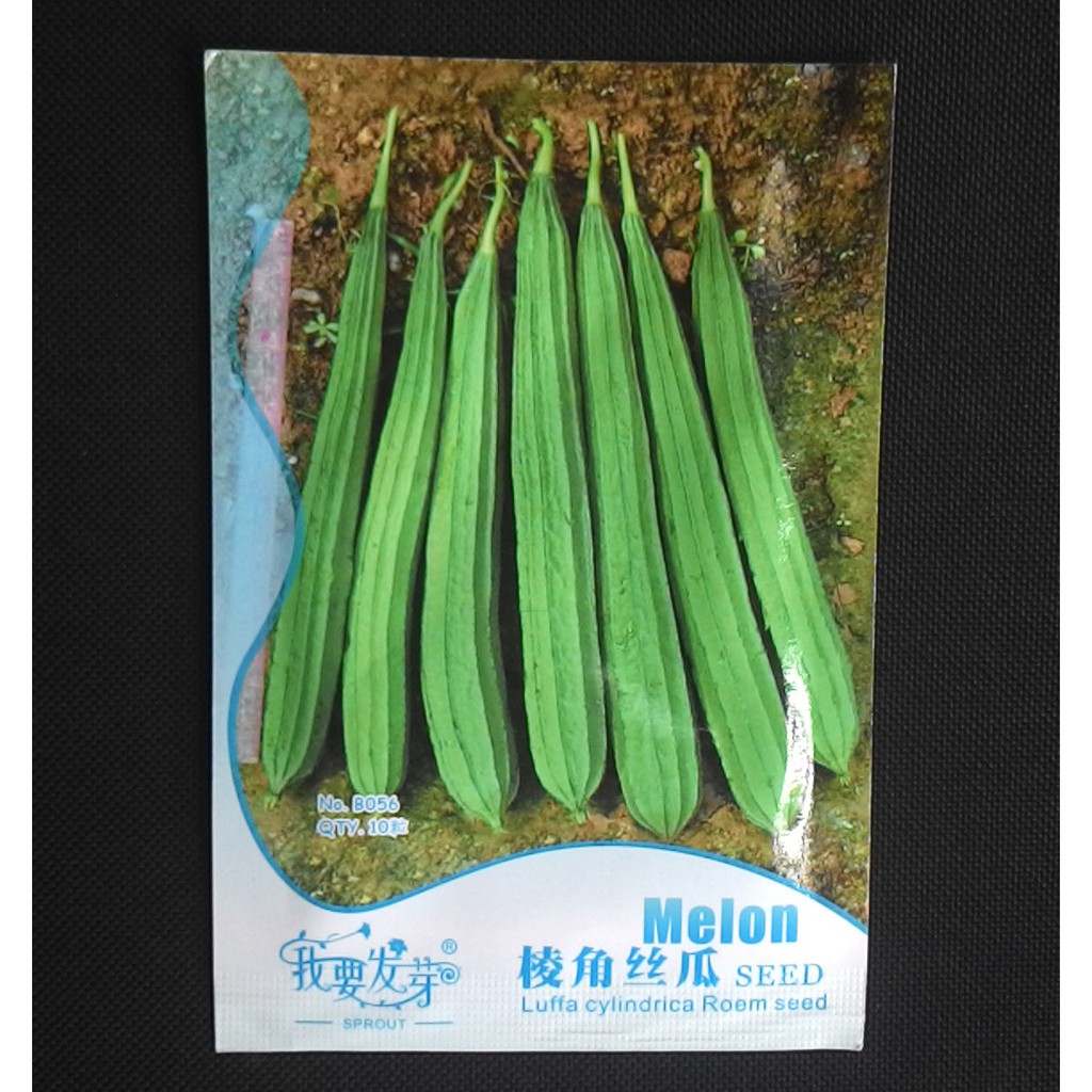 

Terlaris Oyong Grosir